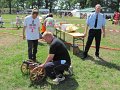 IMG_8845