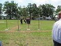IMG_8856