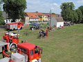 IMG_8877