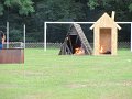 IMG_8942