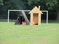 IMG_8944