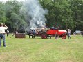 IMG_8981
