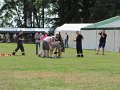 IMG_9116