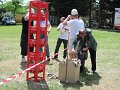 IMG_9151