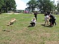 IMG_9194