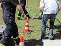 IMG_9225