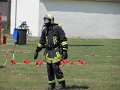 IMG_9279