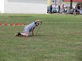 IMG_9323