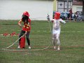 IMG_9356