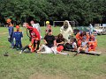IMG_9385
