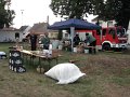 IMG_9451
