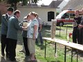IMG_9517