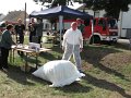 IMG_9550