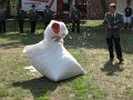 IMG_9556