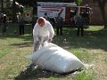 IMG_9561