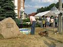 IMG_8769
