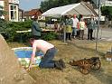 IMG_8781