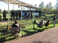 IMG_1887