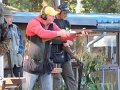 IMG_1988