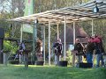 IMG_1998